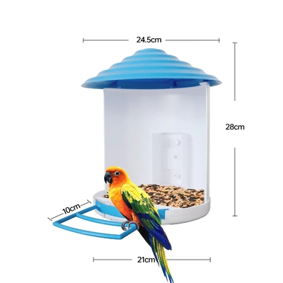Wifi H.264 Bird Watching Camera Pir Alarm Push Phone Phone App App in Time