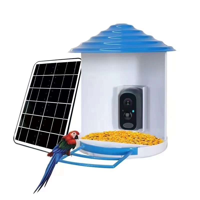 Wifi H.264 Bird Watching Camera Pir Alarm Push Phone Phone App App in Time